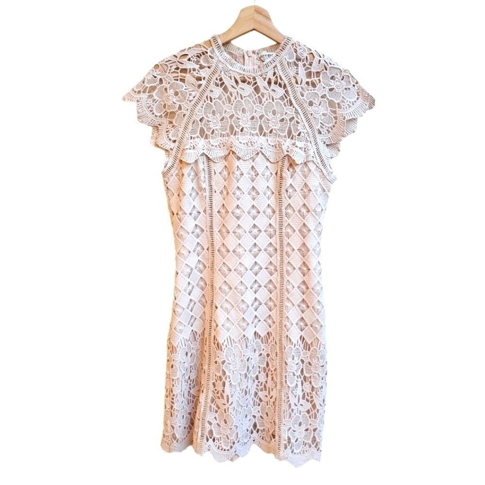 Allison New York Cream Lace Crochet Dress, Size Small
